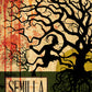 Semilla